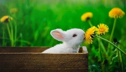 九游体育入口-国际热身赛中国青年队逆袭 球迷支持新人涌现，国家队热身赛进球算不算正式进球