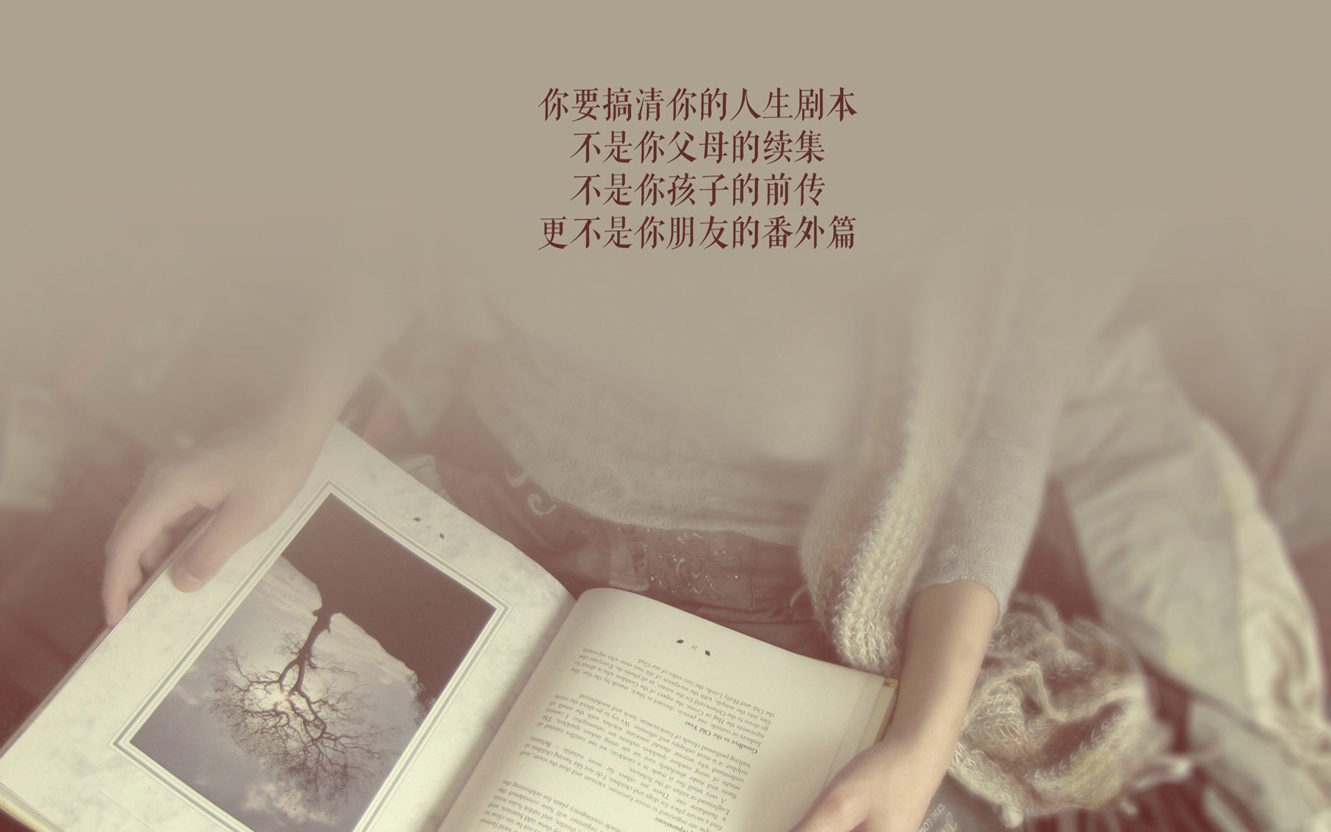 球队文化建设：如何打造团队凝聚力？，球队文化真正的定义