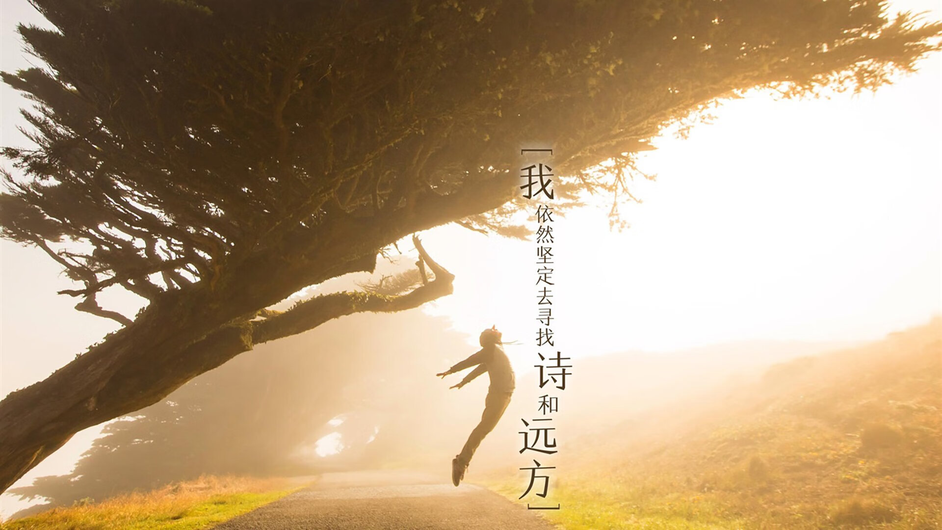 足球竞技状态评估体系将在职业队中推广，足球竞技水平