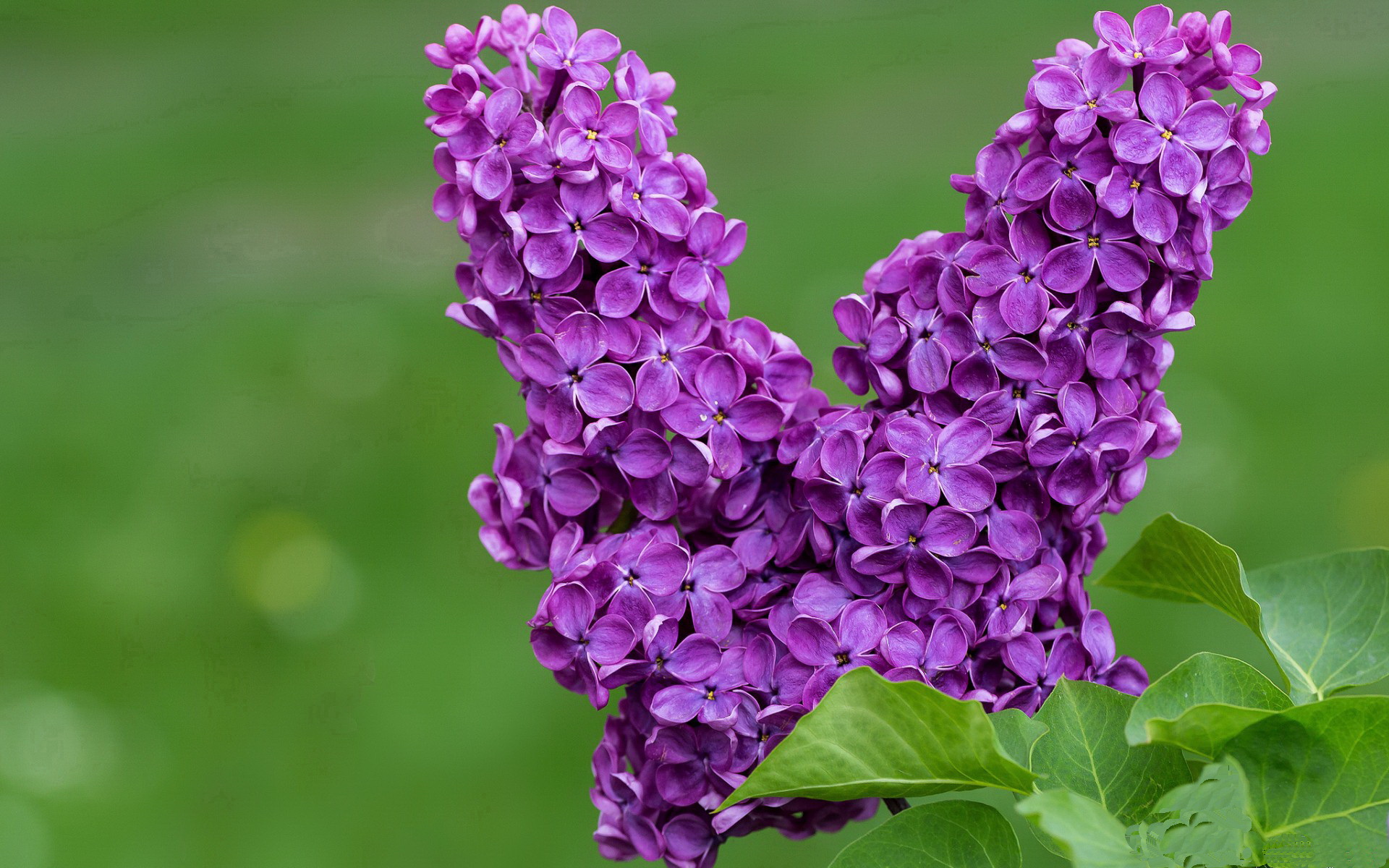 CBA球队积极部署战术 打法更加灵活多样，cba联赛如火如荼,随着比赛场次的密集