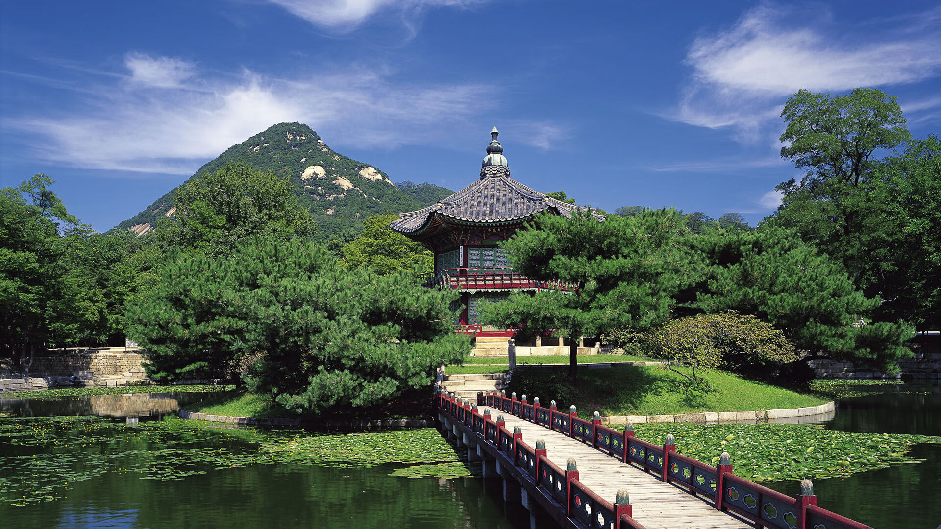 “汤姆·佩顿突破泳坛，短泳项目金牌触手可及”