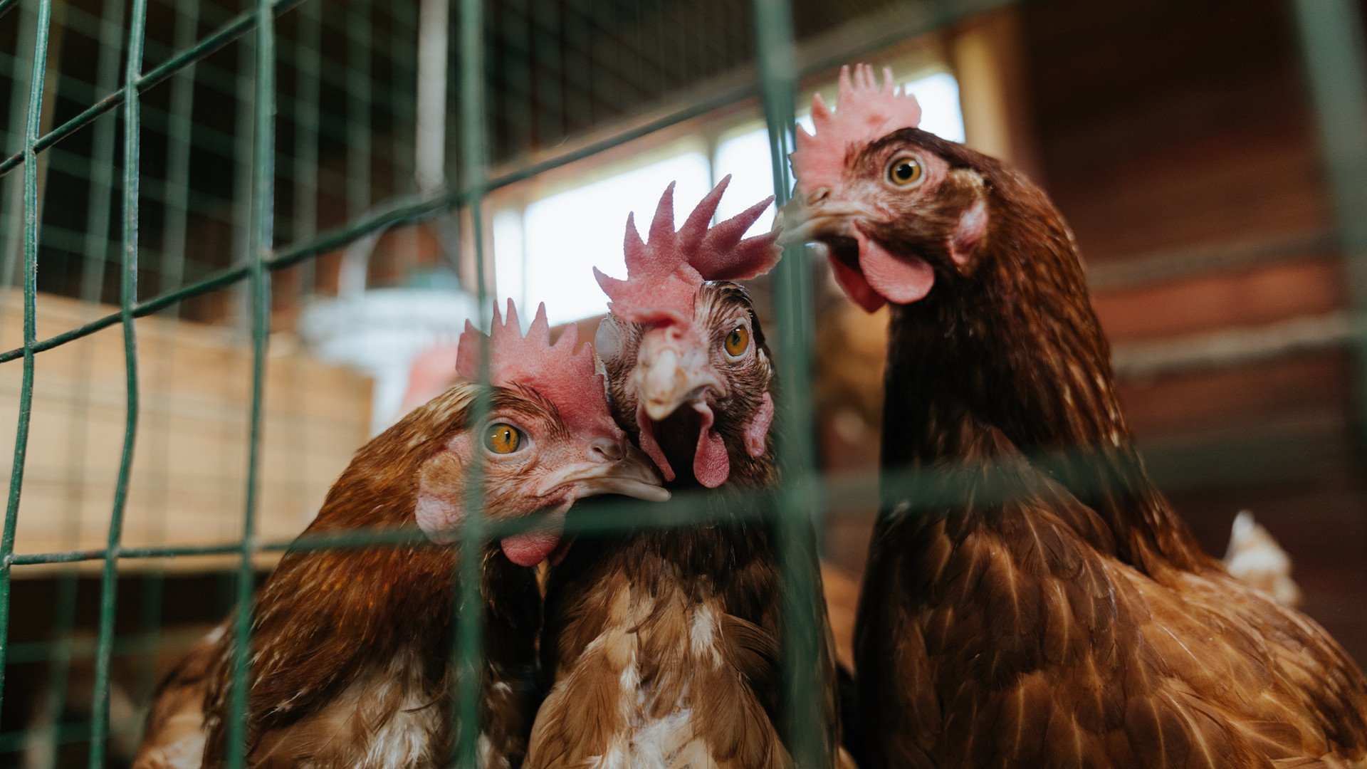 “热刺猛攻，阿仙奴坚守：香港赛场焦点对决”