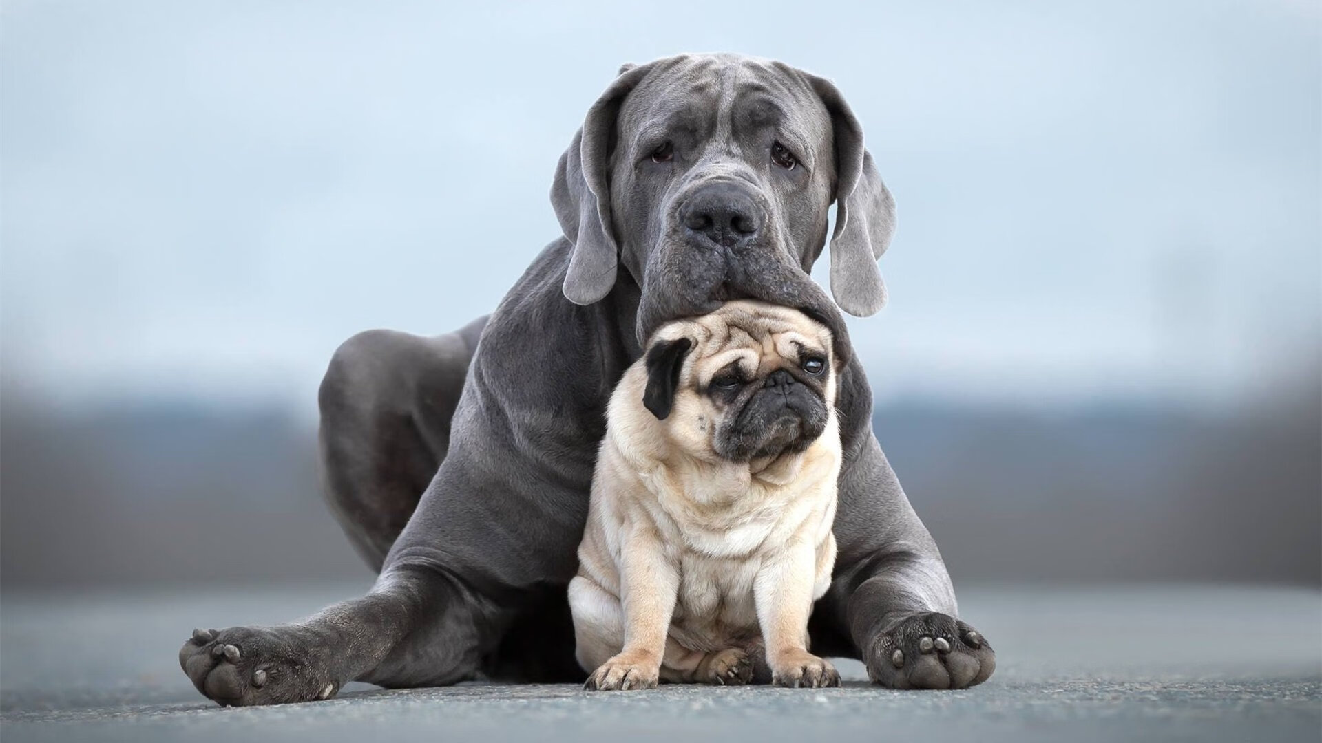 九游游戏-体测机制逐步覆盖所有学段保障连续性，体测成绩是覆盖还是取最高