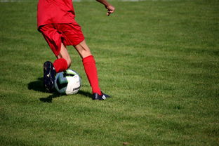 九游体育APP下载-体育新闻中心发布体育短视频内容运营新策略，体育短视频存在的问题